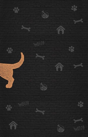 HG_Freezack_Website_Hochformat_Hund_web