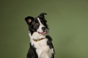 MYFAMILY_WEST-POINT_web